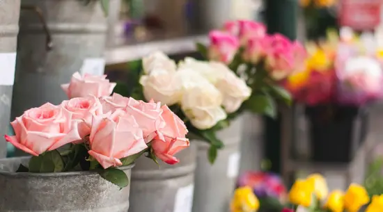 Floristería E. Jiménez