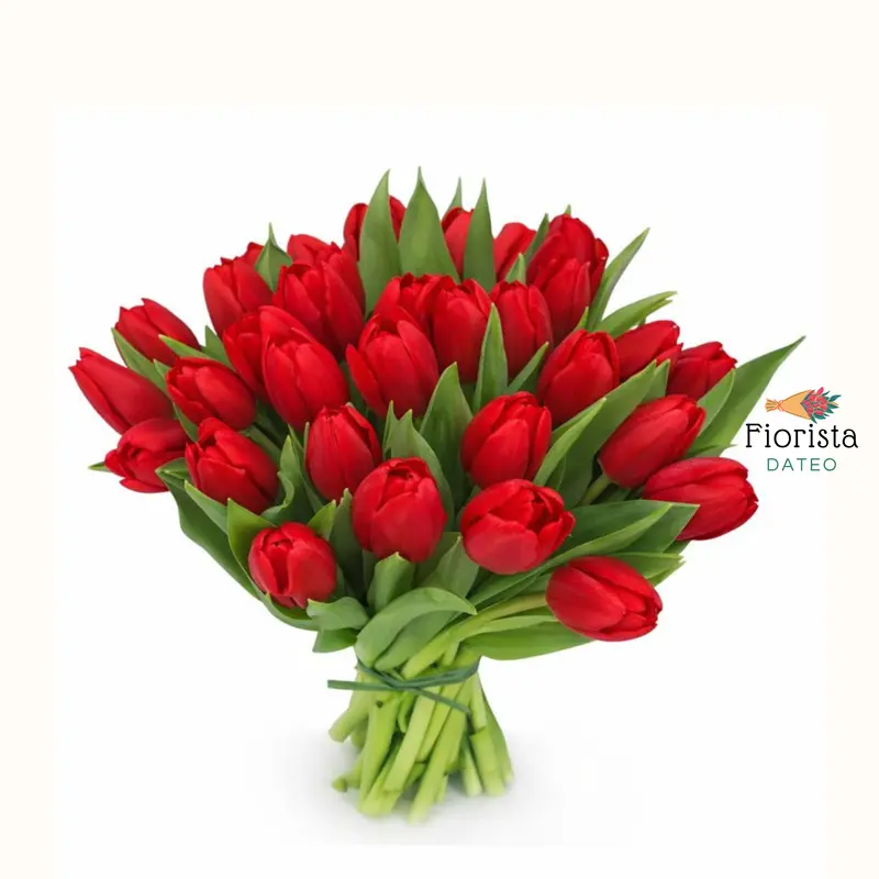 Fiorista Dateo
