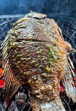 Poisson