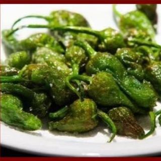 pimiento de padron