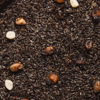 Arroz De Negro Sepia Y Gambón