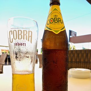 Cobra Indian Beer