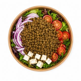GREEK LENTIL