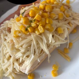 Perrito caliente especial