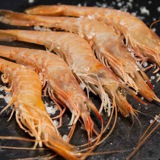 Gamba blanca de huelva cocida