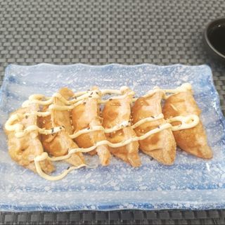 18.GYOZA DE CARNE FRITO  X5