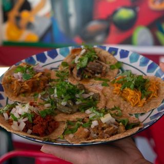 Taco De Tinga De Pollo