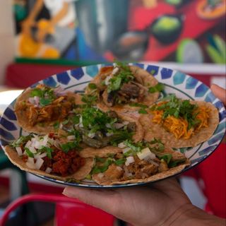 Taco De Carnitas
