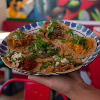 Taco De Cochinita Pibil