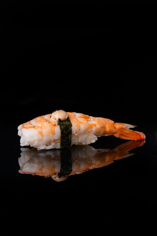 Maki De Gamba (8 Uds.)