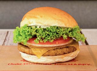 Hamburguesa De Verdura