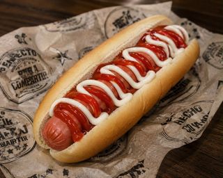 Perrito Especial