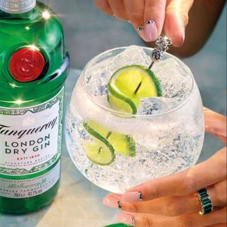 Gin Tonic Premium
