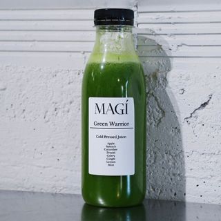 Green Warrior 500ml