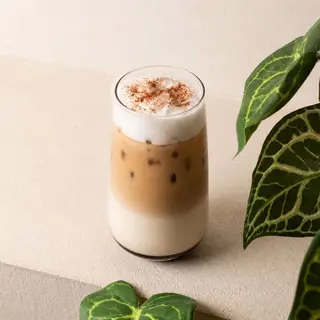 Iced Capuccino