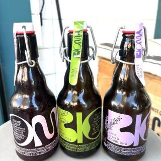 Kombucha Bioma 330Ml