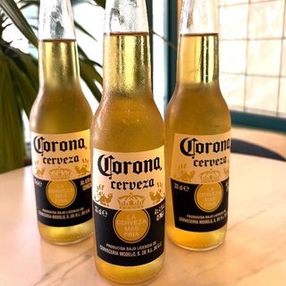 Corona Beer Mexico