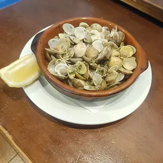 Almejas