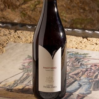 Pinot Nero Trentino