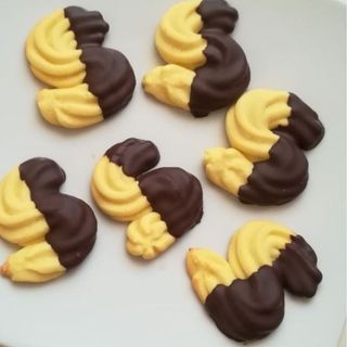 Biscotto s cioccolato