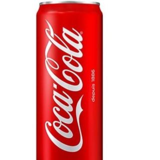 Coca-Cola Lattina 330 ml