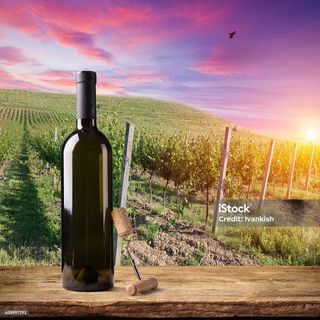 Peppoli Chianti Classico Docg Il Bruciato Bolgheri