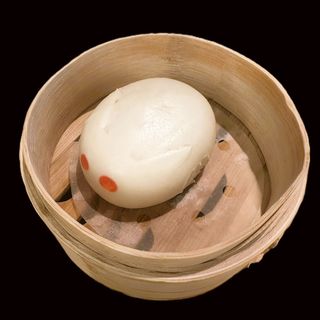 051- Yutu bao