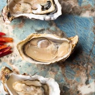 Ostrica special sentinelle n°3