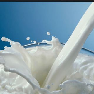 Latte Intero