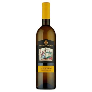 Falanghina