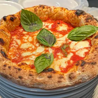 La Regina assoluta