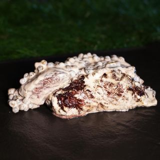 Filetto al pepe verde