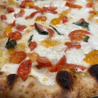 Del sannita