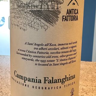 Irpinia Falanghina D.O.C. Vilia