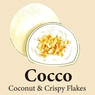 Cocco