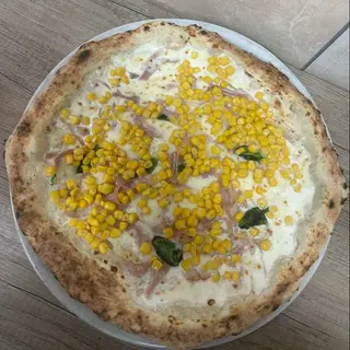 Mimosa
