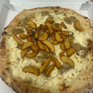 Il porcino