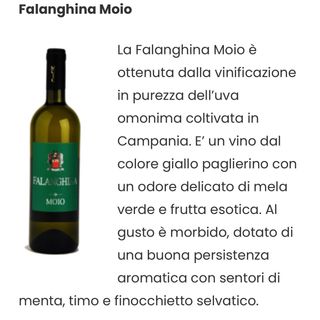 Falanghina Moio  I.G.P.