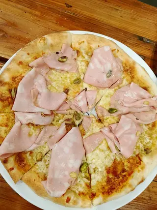 Bologna