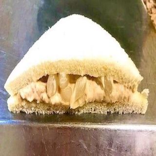 Tramezzino Tonno e cipolline