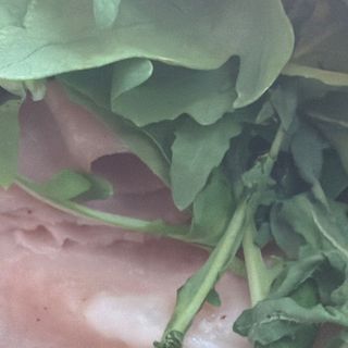 Panino mortadella