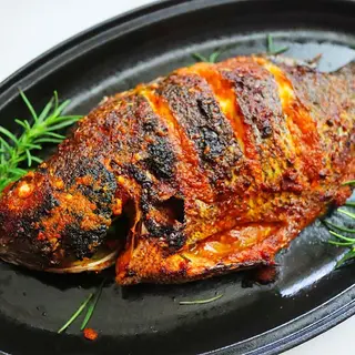 Tilapia