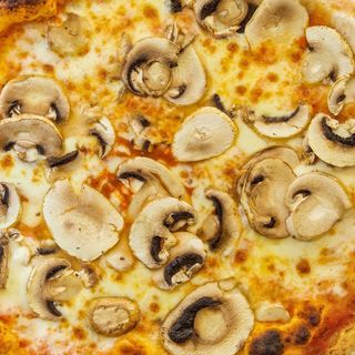 Funghi