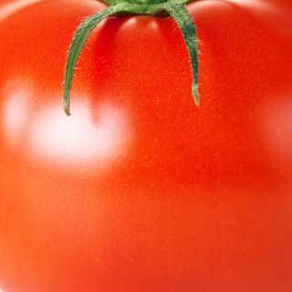 Tomate