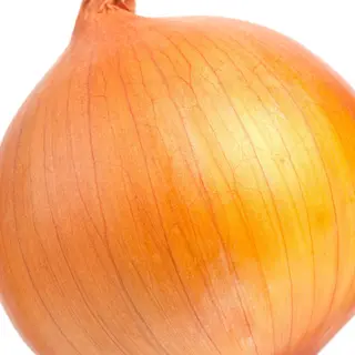 Cebola