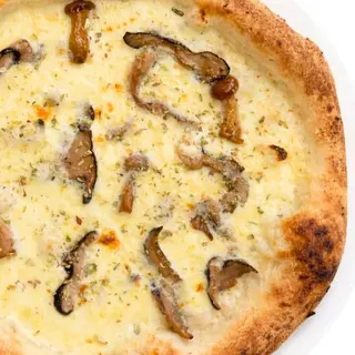 Funghi