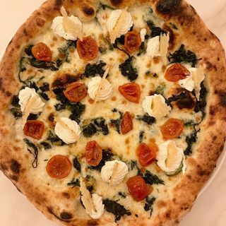 (B/V) Vegetariana