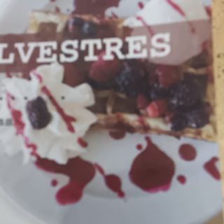 Waffles de Frutos Silvestres