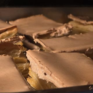 Bergolios (Jesuítas)