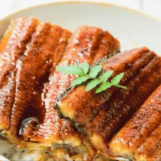 Unagi Don